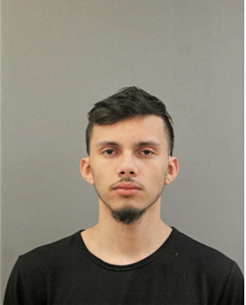 MICHAEL H BANKSTON, Cook County, Illinois