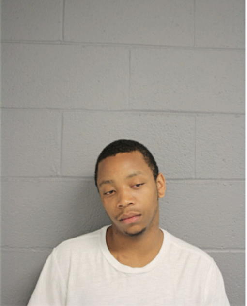 KEITH S BRICE, Cook County, Illinois