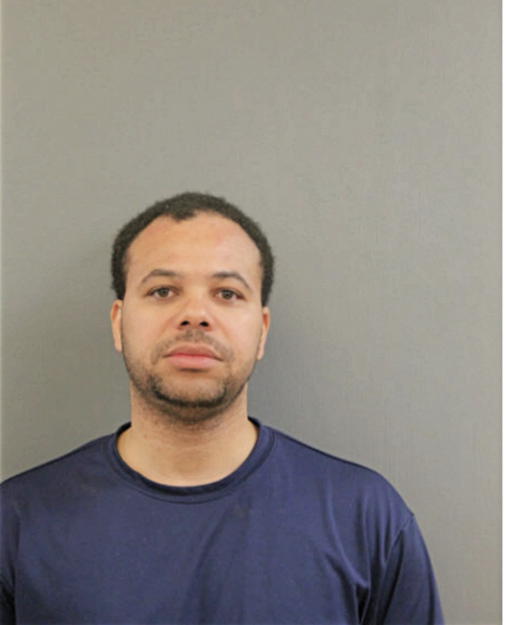 CALVIN L BRIGHT, Cook County, Illinois