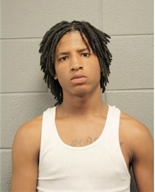 LEE M DAVIS, Cook County, Illinois