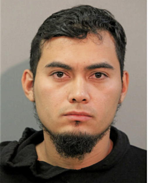 HUGO FLORES, Cook County, Illinois