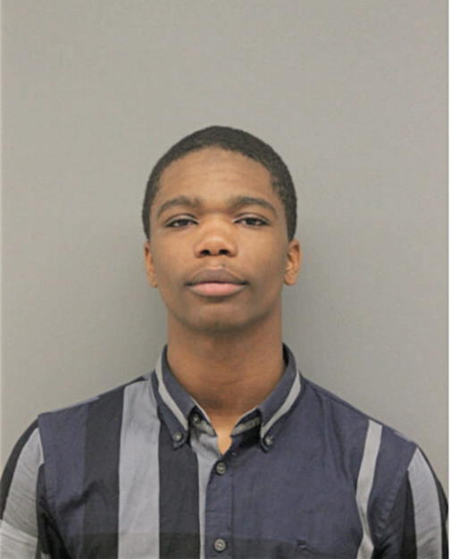 ADOLPHUS T FORD, Cook County, Illinois