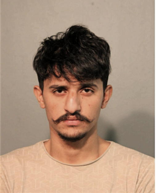 MUMTAZ HAYDER, Cook County, Illinois