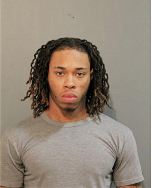 BRANDEN A HORTON, Cook County, Illinois