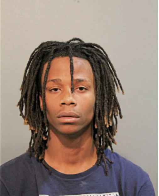LAVONTE D LANE, Cook County, Illinois