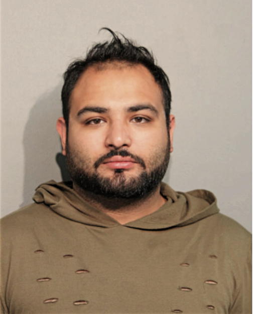 UMAR A MALIK, Cook County, Illinois