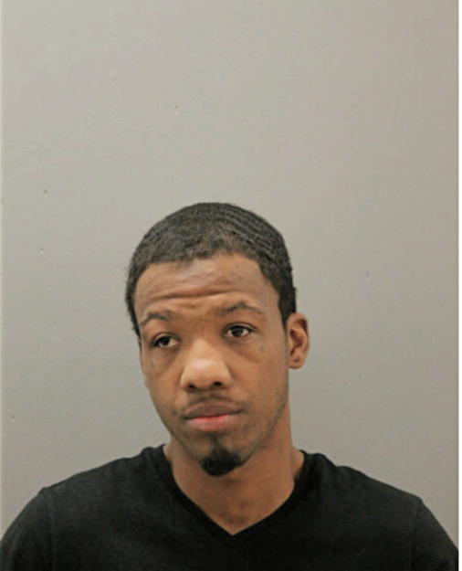 LAWRENCE D MATTHEWS, Cook County, Illinois