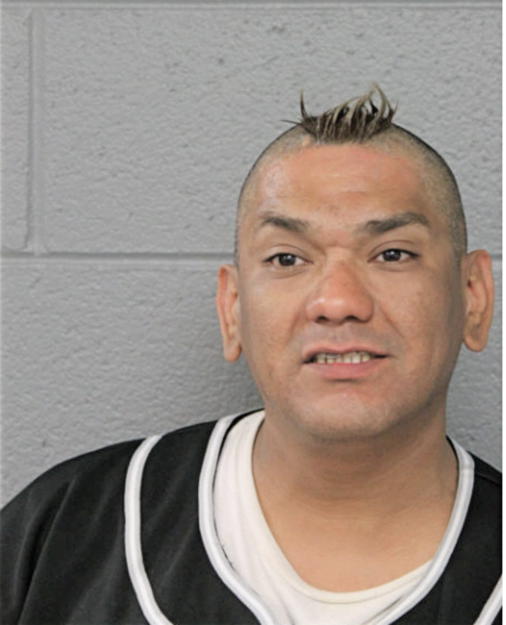 FERNANDO G MORALES, Cook County, Illinois