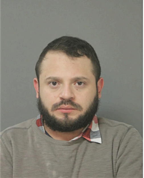 JOSE M PEREZ DELEON, Cook County, Illinois