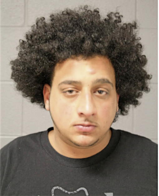 ABDELRAHMA A RAMADAN, Cook County, Illinois