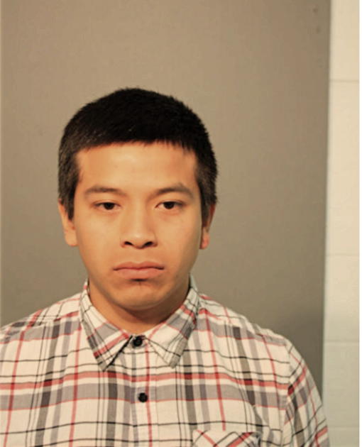 JOSE ROJAS-PALOMARES, Cook County, Illinois