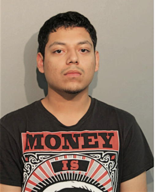 MARCELO SALAS, Cook County, Illinois