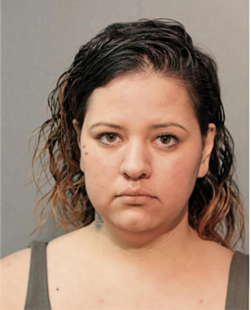 BRENDA VENEGAS, Cook County, Illinois