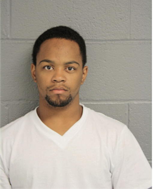 MICHAEL A WELLS, Cook County, Illinois