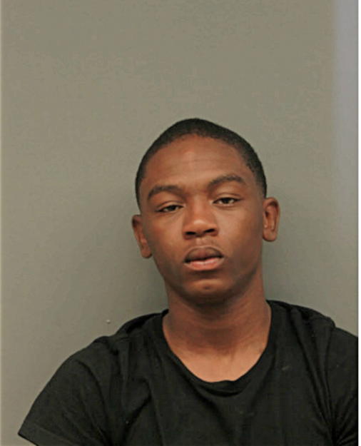 JAMES E WILLIAMS, Cook County, Illinois