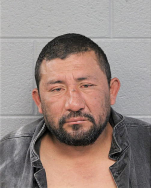 ANGEL ALFONSO, Cook County, Illinois