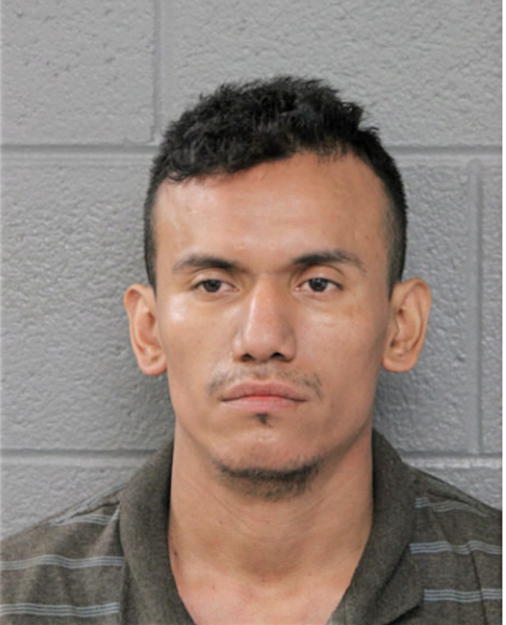 MARCELO ALVARADO, Cook County, Illinois