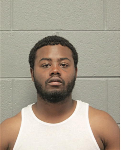 ERIC T ANDERSON, Cook County, Illinois