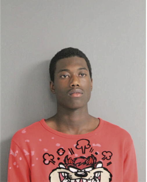 RAYSHAWN M BORUM, Cook County, Illinois