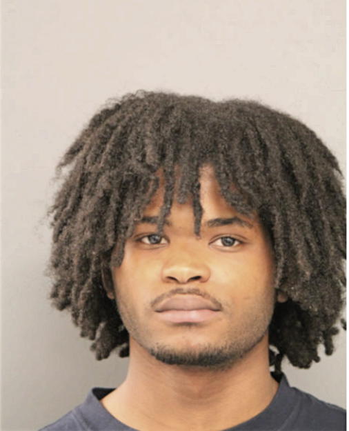 BRIAN G BREWER, Cook County, Illinois