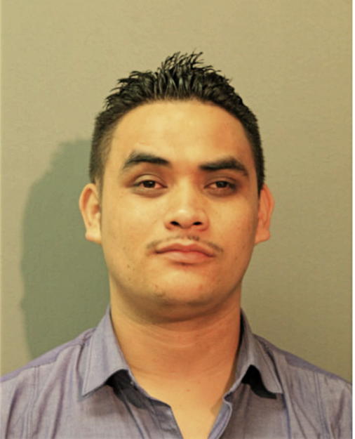 MARTIN CARRILLO-CORREA, Cook County, Illinois