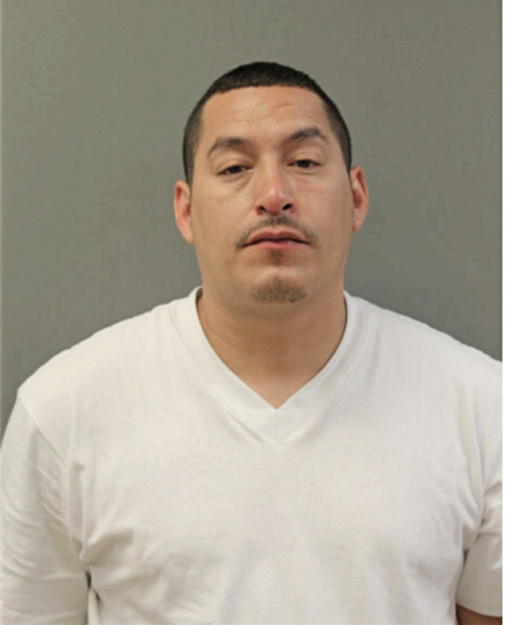 JOSE F DIAZ, Cook County, Illinois