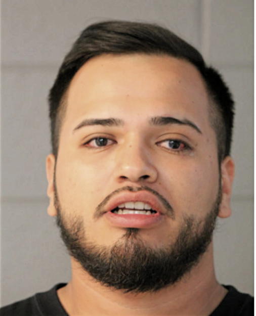 ARN SAMEER FLORES, Cook County, Illinois