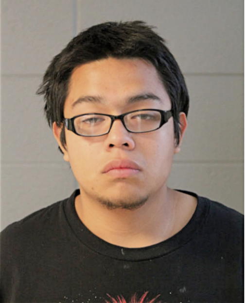 GUILLERMO A FLORES, Cook County, Illinois