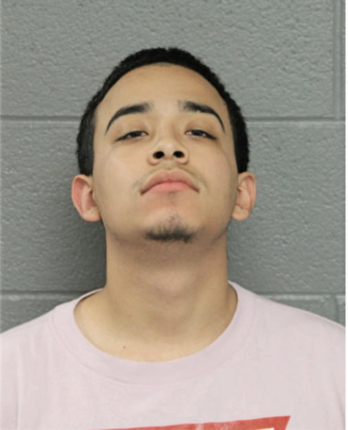 JOSHUA J FLORES, Cook County, Illinois