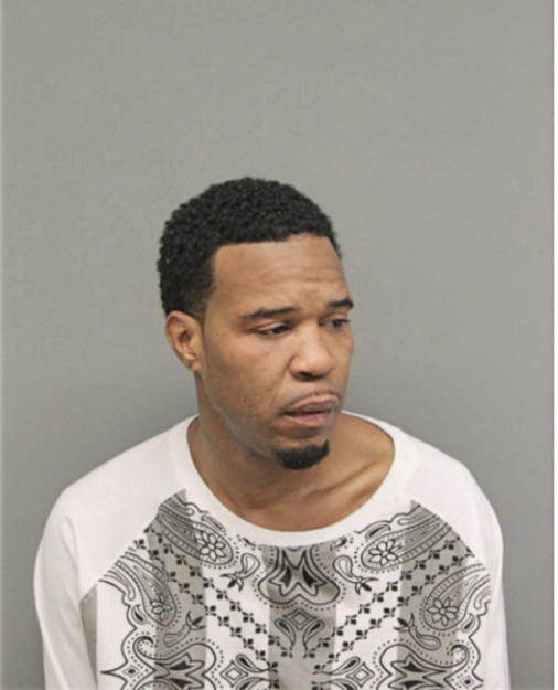 MICHAEL R JENKINS, Cook County, Illinois