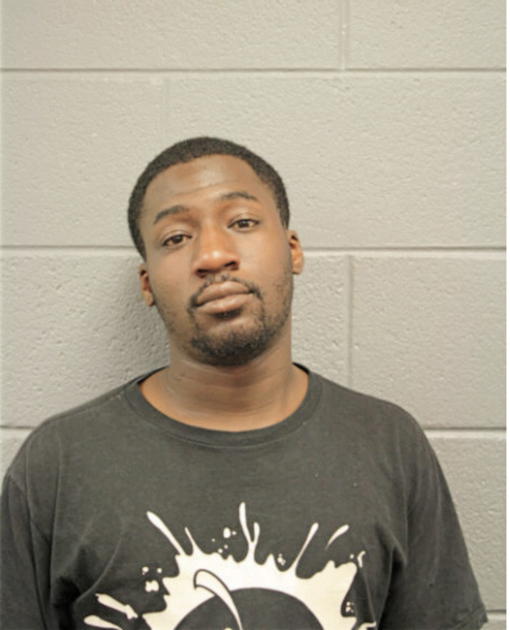 DAVID M JOHNSON, Cook County, Illinois