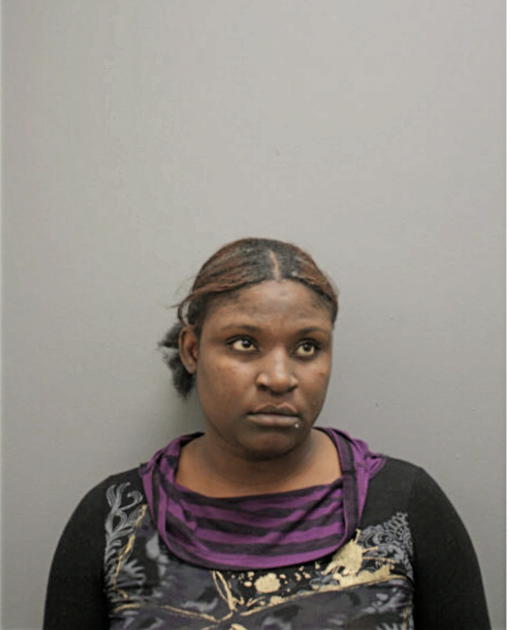 JANICE J JONES, Cook County, Illinois