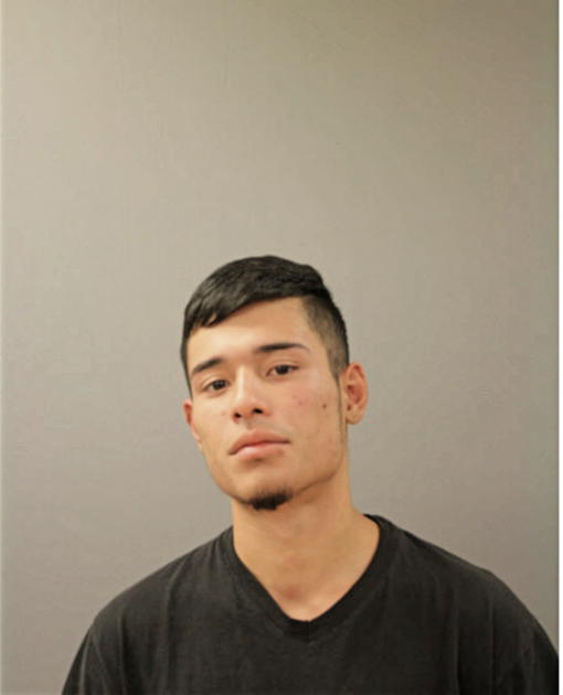 CENDEJAS JOVANNI, Cook County, Illinois