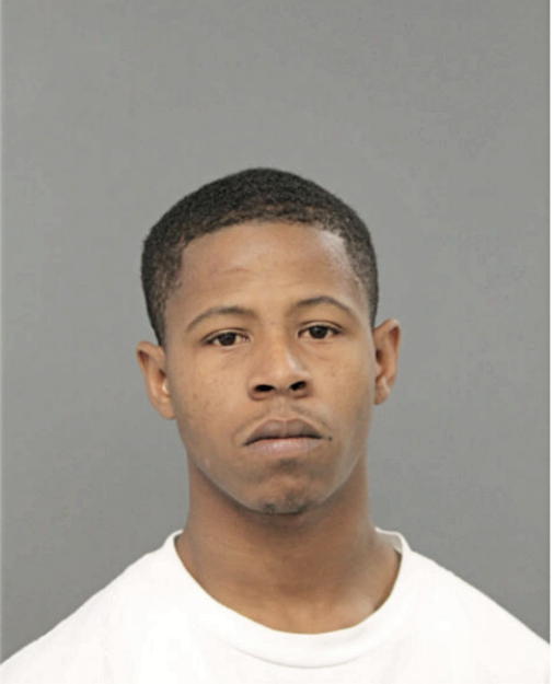 JESSE R LEWIS, Cook County, Illinois