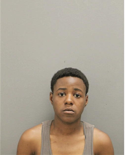 YVETTE M LEWIS, Cook County, Illinois