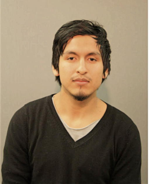 ROBERTO PATRICK LLAPA, Cook County, Illinois