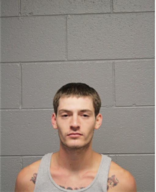 BRYAN A LOWERY, Cook County, Illinois