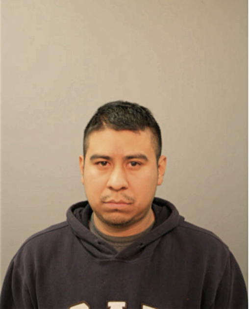 MANUEL A MATA, Cook County, Illinois