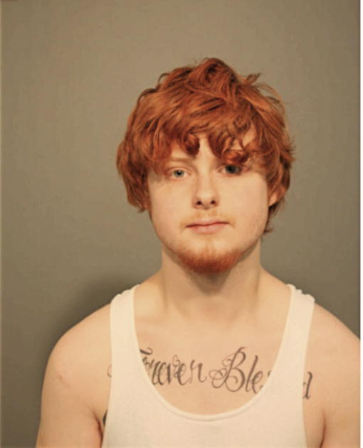 JUSTIN R MISNER, Cook County, Illinois
