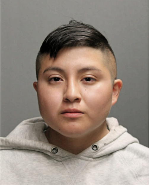 LEONOR MONTEJANO, Cook County, Illinois