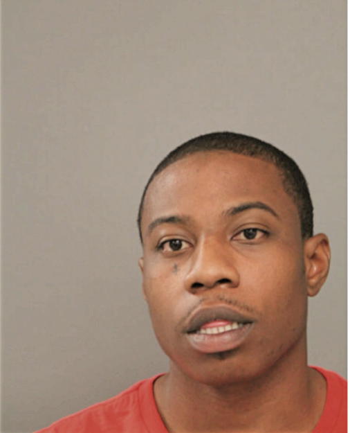DAMIAN R MOSLEY, Cook County, Illinois