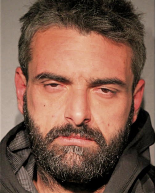 SLAVKO NISAVIC, Cook County, Illinois