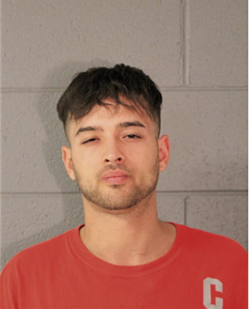 JOSEPH A PACHECO, Cook County, Illinois