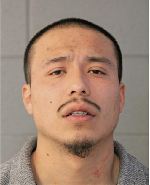 DAVID PINA, Cook County, Illinois