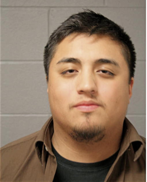 VICTOR A RAMIREZ-MORALES, Cook County, Illinois