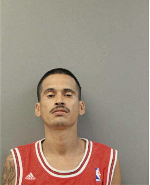 MIGUEL S RAMOS, Cook County, Illinois