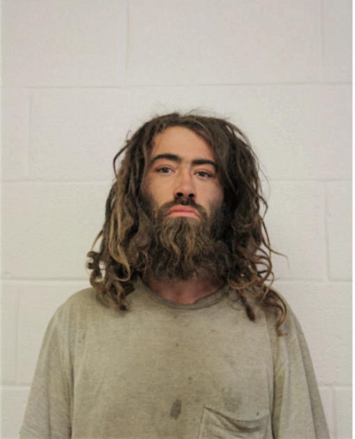 BRIAN W REID, Cook County, Illinois