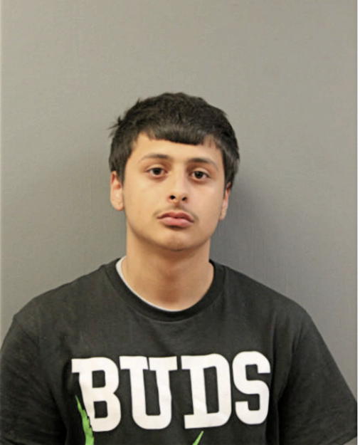 MICHAEL A ROLDAN, Cook County, Illinois