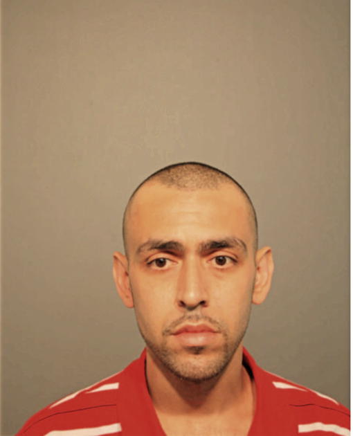 LENIE SANTANA, Cook County, Illinois