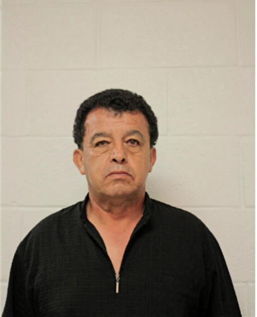 LUIS C TORO, Cook County, Illinois